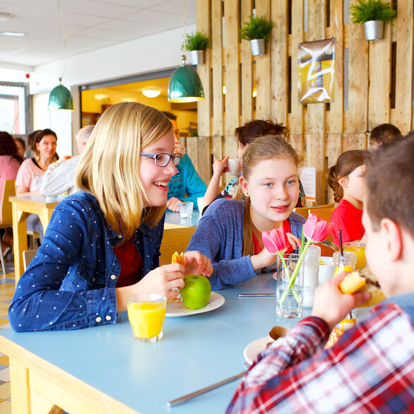 Scholen & Groepen